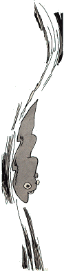 Wriggler illustration