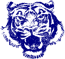 Tiger illustration